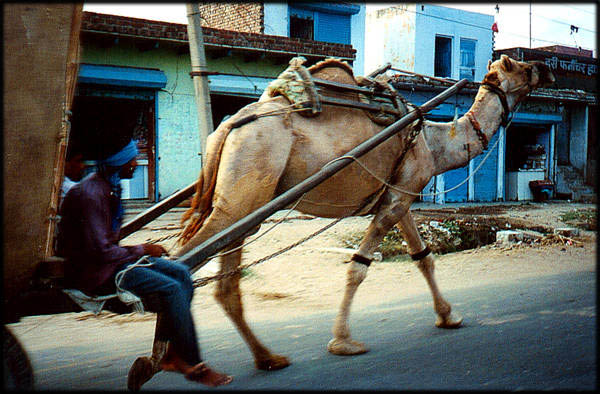 India23