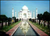 India41