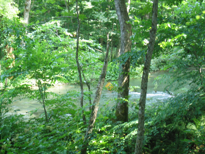 121-2134_IMG