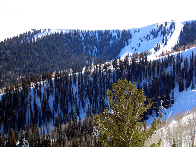 ParkCity004