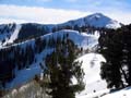 ParkCity003