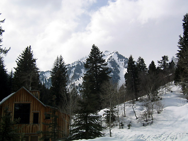 ParkCity009