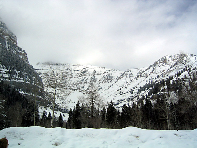 ParkCity142