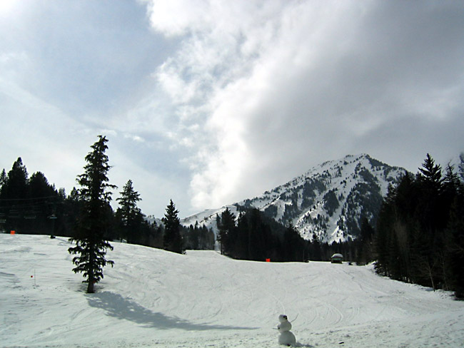 ParkCity146