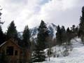 ParkCity009