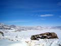 ParkCity141