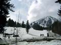 ParkCity145