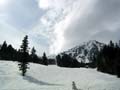 ParkCity146