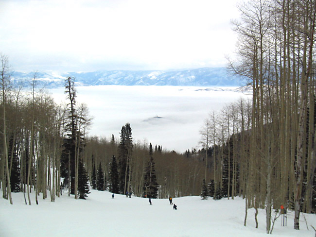 ParkCity016