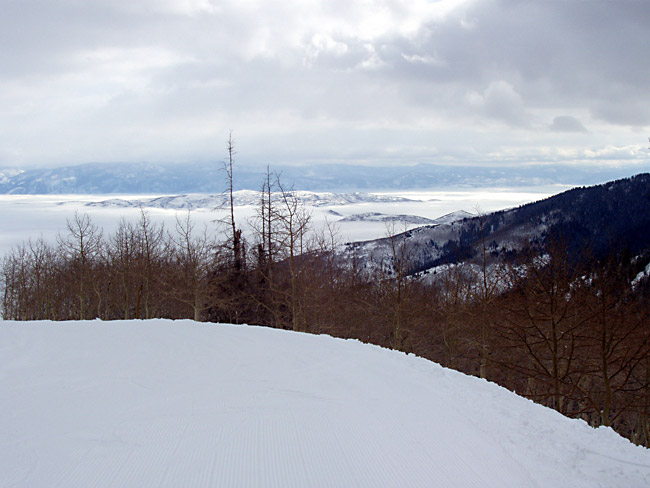 ParkCity104