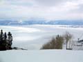 ParkCity011