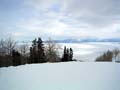 ParkCity012