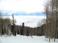 ParkCity016