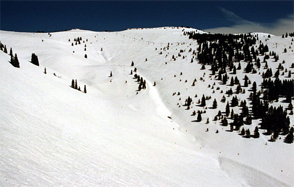 42Vail29