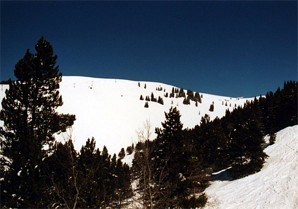 50Vail41